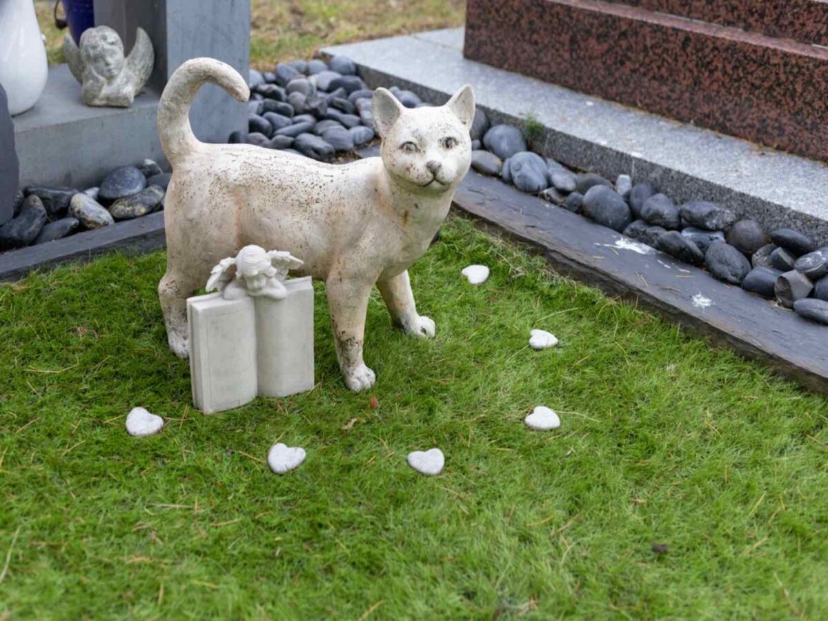 grób kota